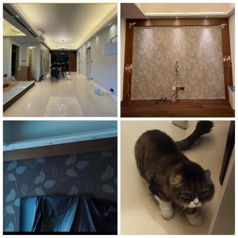 wing8 decoration company  - 朗逸峰