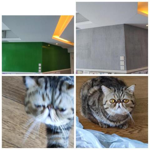 wing8 decoration company  - 