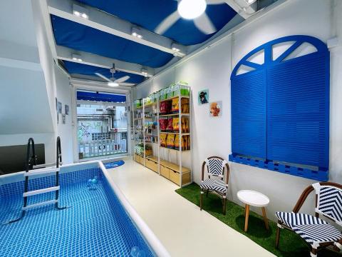 Puppy Love Pet Grooming &bull; Swim - 