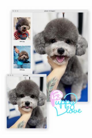 Puppy Love Pet Grooming &bull; Swim - 