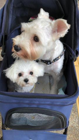 Beautiful pay - 餵藥照顧服務