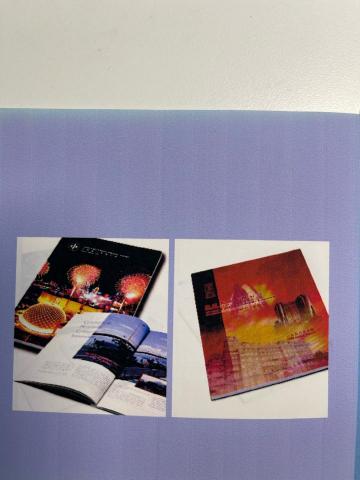 Blueness - 左邊中電年報