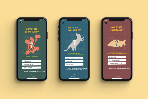 Julia Wong - Social media campaign  Julia Wong - Social media campaign