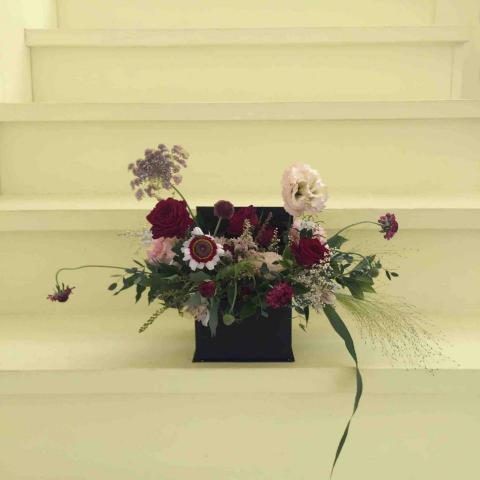 Dawn - 花盒 Dawn - 花盒