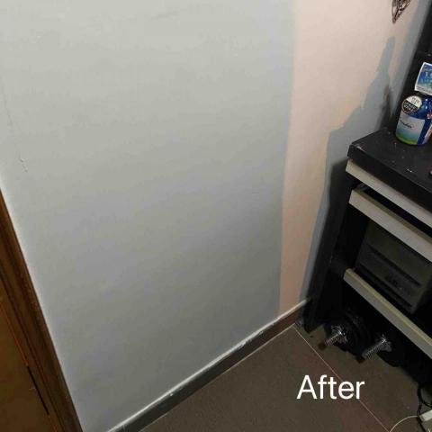 貓貓油漆工作室 -  貓貓油漆工作室 -