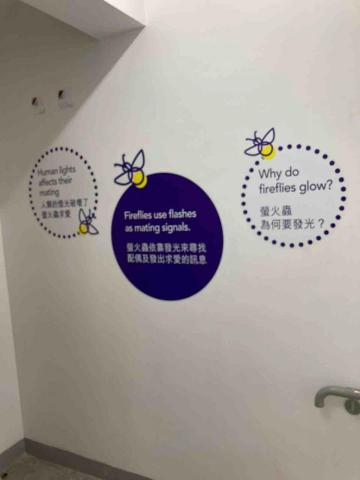 Outer space advertising produc - 