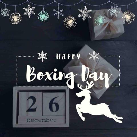 Busy Bee - 賀圖設計 Busy Bee - 賀圖設計