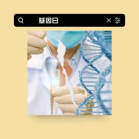 Busy Bee - 主題設計 Busy Bee - 主題設計