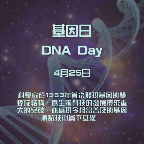 Busy Bee - 主題設計 Busy Bee - 主題設計