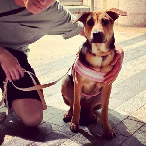 Carsten Cheung -  Carsten Cheung -