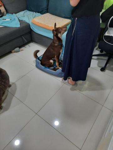 Carsten Cheung -  Carsten Cheung -