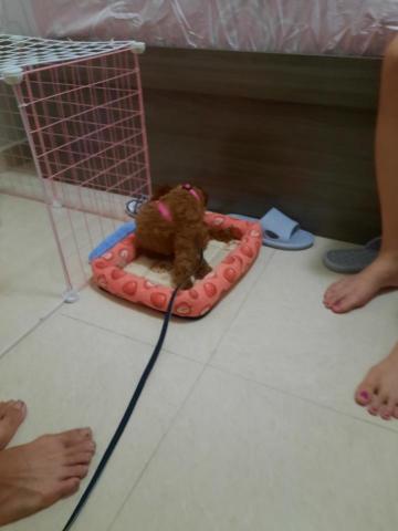 Carsten Cheung -  Carsten Cheung -