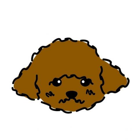 Crystal  - 小狗頭像