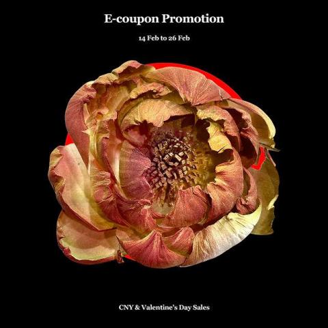 Aries - 創意平面設計 Aries - 創意平面設計