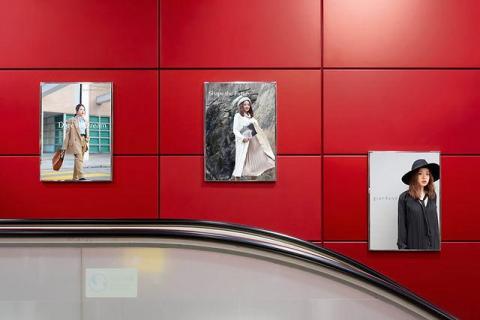 Aries - 市場策劃;Demo Aries - 市場策劃;Demo