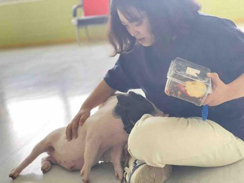 KA YEE WONG - 動物訓練