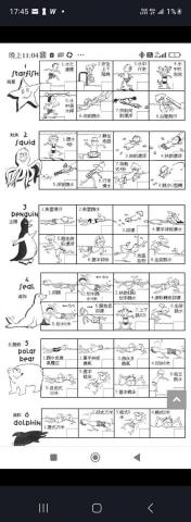 FONG PAK WING (joe sir) -  FONG PAK WING (joe sir) -