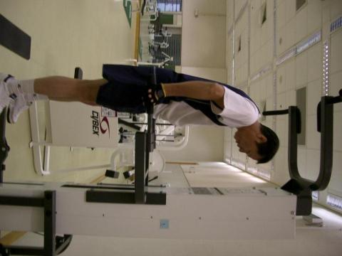 FONG PAK WING (joe sir) -  FONG PAK WING (joe sir) -