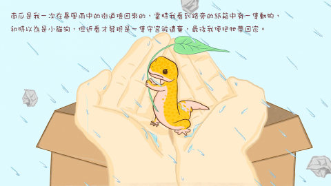 Jenny - 插畫故事(我和我的動物朋友)#2