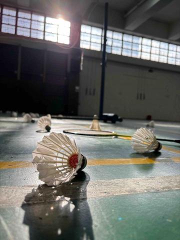 Long sir 私人羽毛球教練 -  Long sir 私人羽毛球教練 -