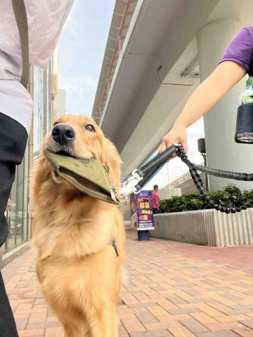 Hazel Chan -  Hazel Chan -