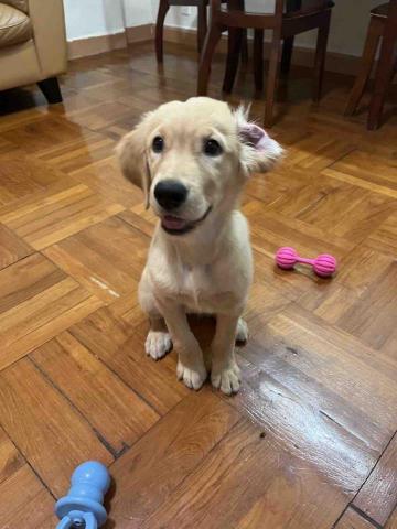 Hazel Chan -  Hazel Chan -