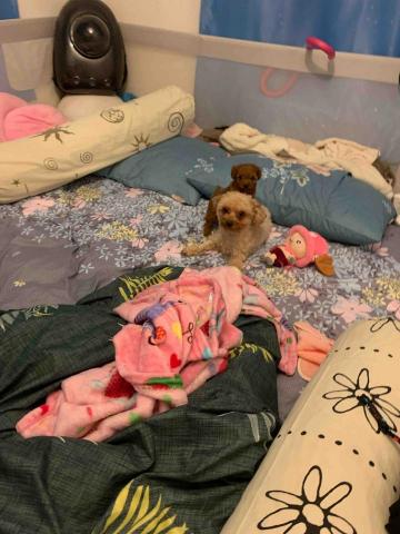 Naomi - 可愛兩母子