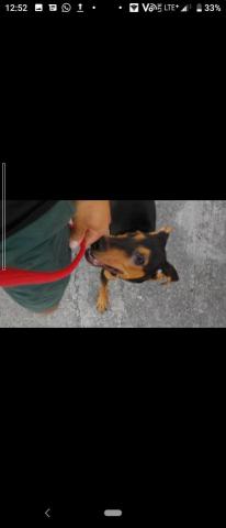 Carsten Cheung -  Carsten Cheung -