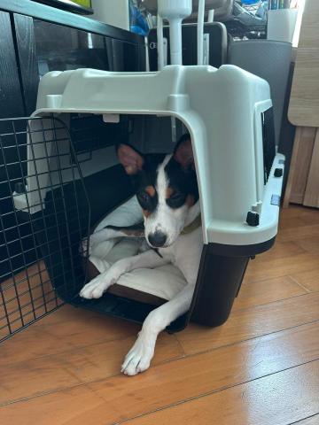 Carsten Cheung -  Carsten Cheung -