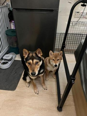 Carsten Cheung -  Carsten Cheung -