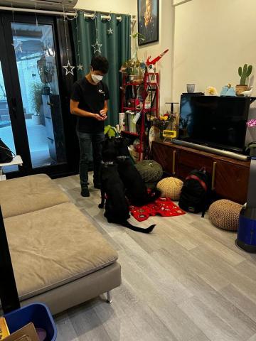 Carsten Cheung -  Carsten Cheung -