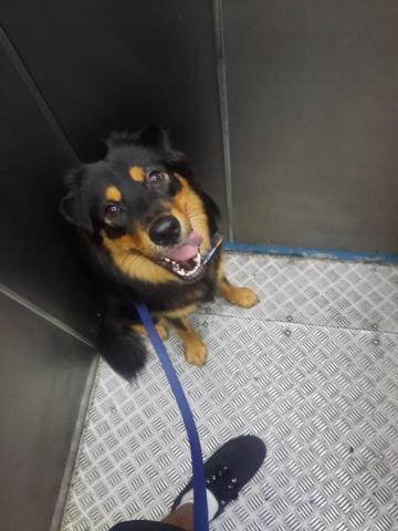 Carsten Cheung -  Carsten Cheung -