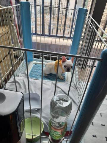 Carsten Cheung -  Carsten Cheung -