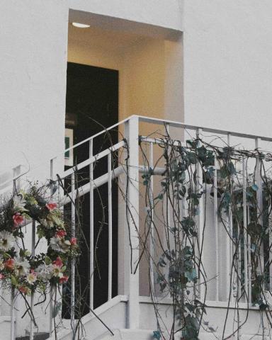 Yan - 拍景 Yan - 拍景