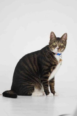 _htwph.324 -  _htwph.324 -