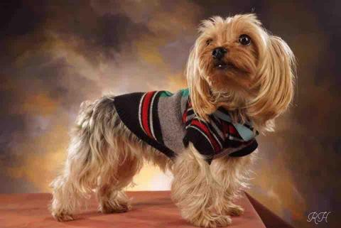 _htwph.324 -  _htwph.324 -