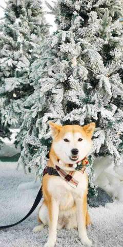 _htwph.324 -  _htwph.324 -