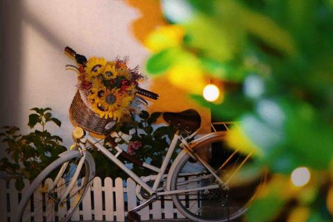 Yan - 拍景 Yan - 拍景