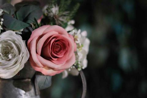 Yan - 拍物品 Yan - 拍物品