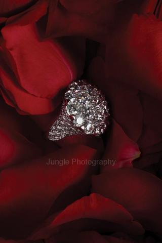 Jungle Lee - 珠寶攝影