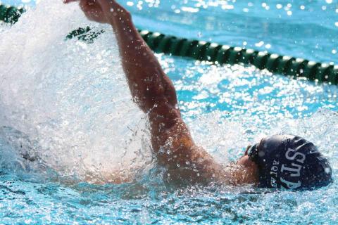 Samuel  -  Samuel  -