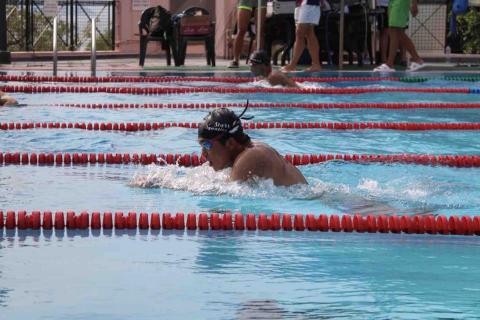 Samuel  -  Samuel  -