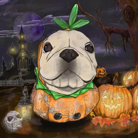 Ka Yi Wan - 寵物插畫