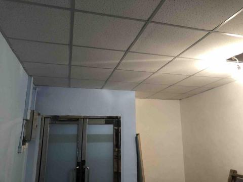 Harry - 明架天花