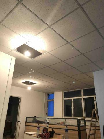 Harry - 明架天花