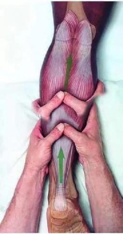 Vivian Wong  - 香薰按摩
調校最適合你的香薰油,進行一場身·心·靈的療程。 Vivian Wong  - 香薰按摩
調校最適合你的香薰油,進行一場身·心·靈的療程。