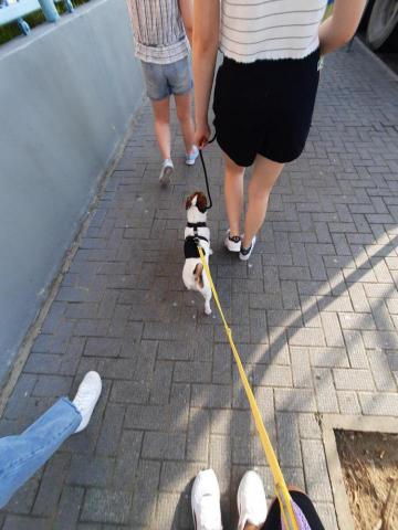 Carsten Cheung -  Carsten Cheung -