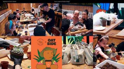 Loc Wong -  Loc Wong -