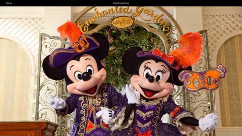 Loc Wong -  Loc Wong -