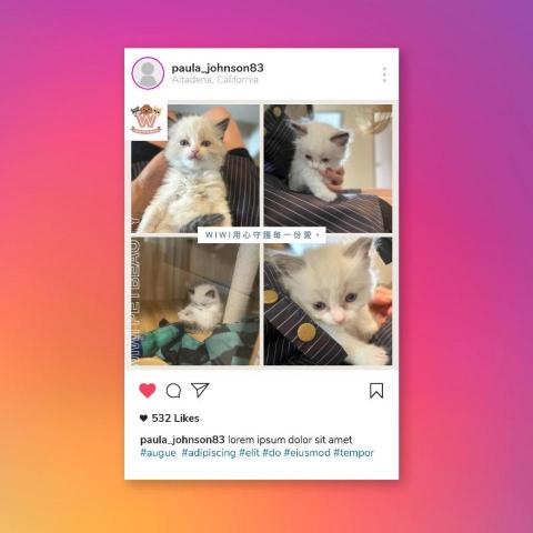 Brandnana  - 社交媒體廣告設計